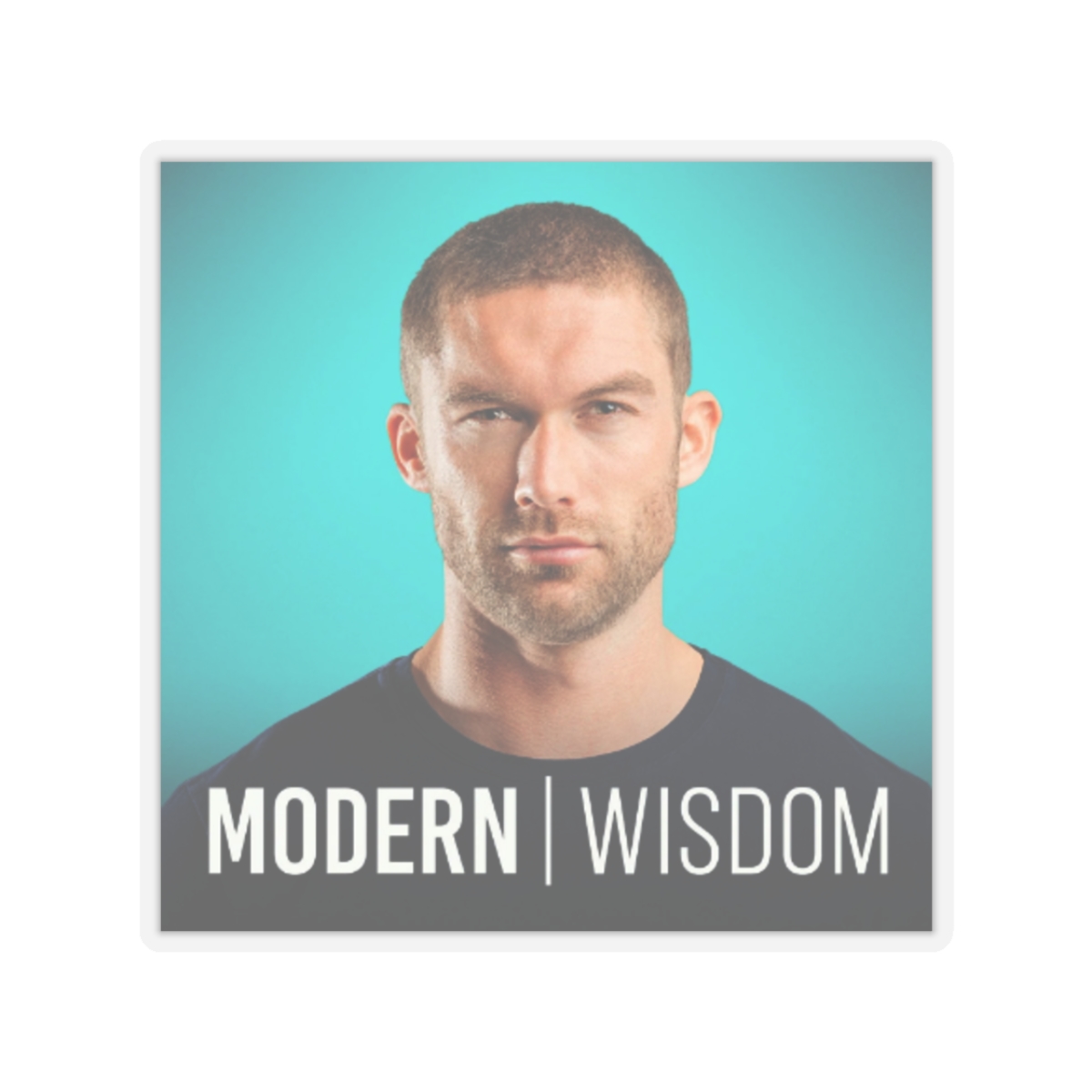 Modern Wisdom Sticker