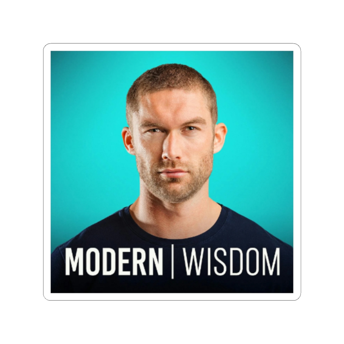 Stickers - Modern Wisdom accessories collection